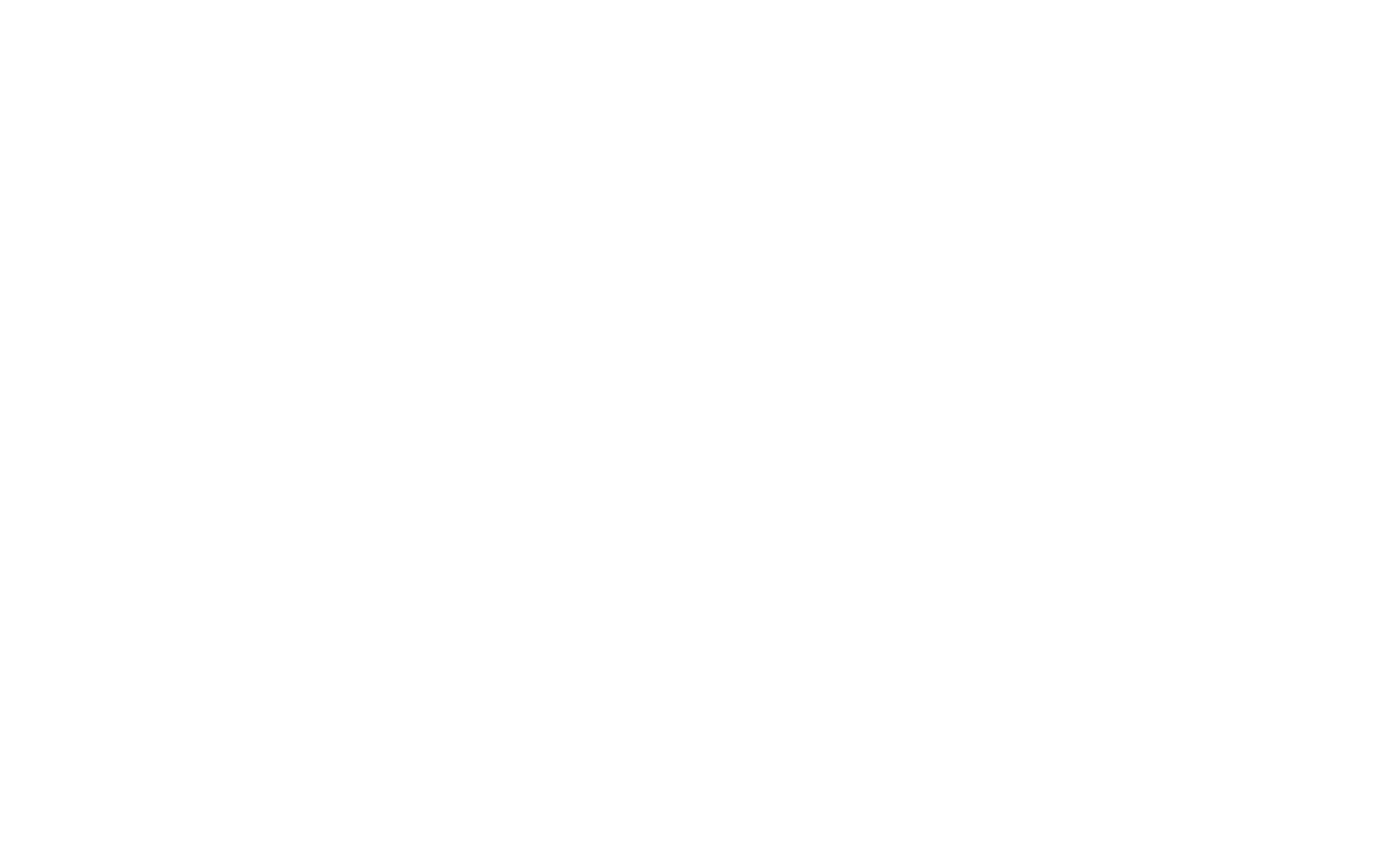 Fundación Bassat Logo